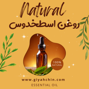 روغن اسطخدوس Lavender Oil