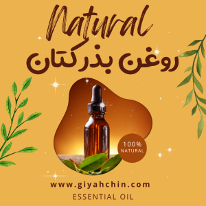 روغن بذر کتان Flaxseed Oil