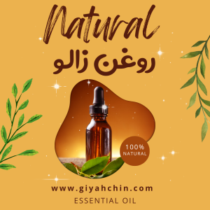 روغن زالو Leech Oil